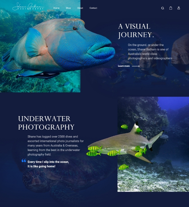 ShanBatham web design