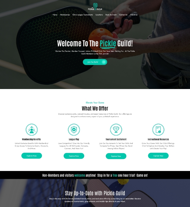 Pickle Guild web design