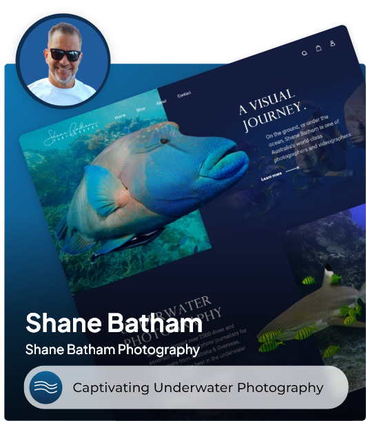 shane batham design